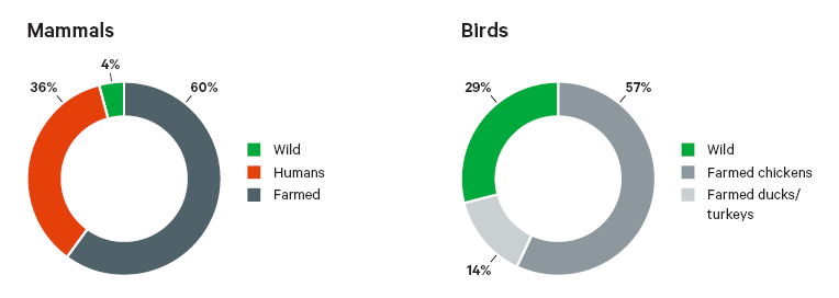 Figure 1. Distribution of global biomass across all mammals and birds