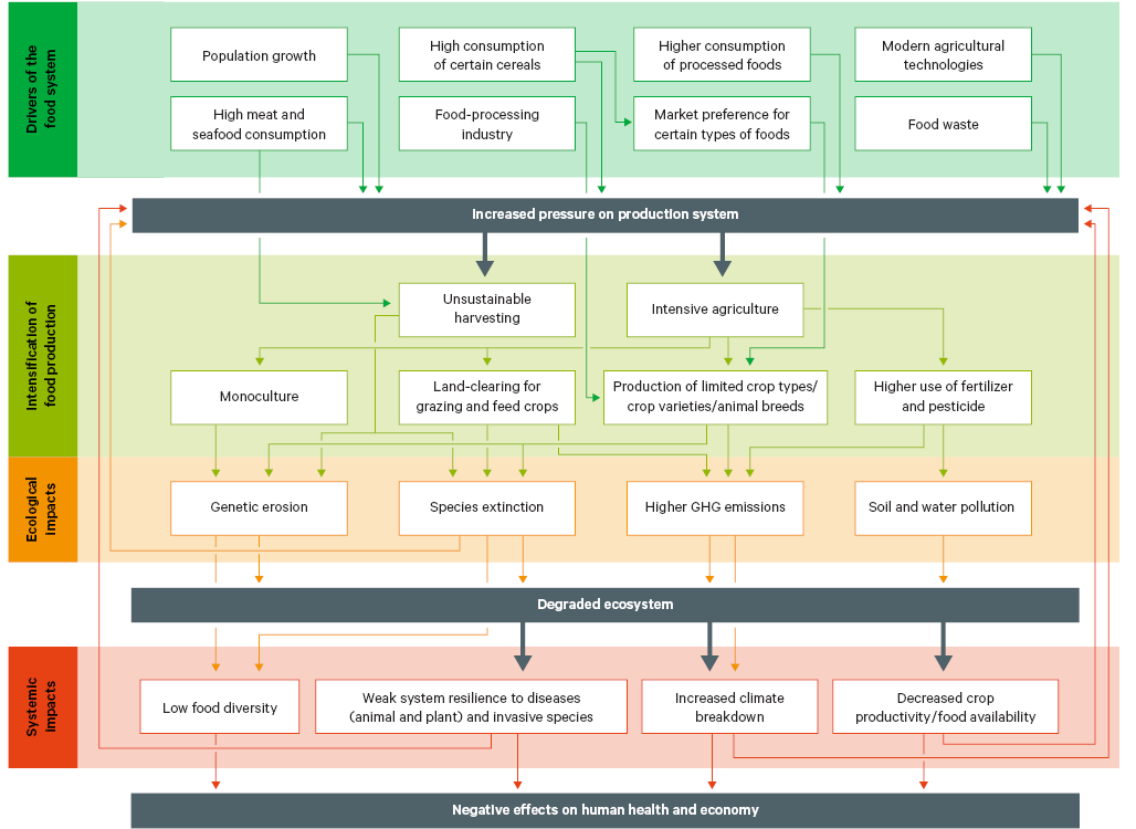 Figure 4. The food system and its impacts on biodiversity
