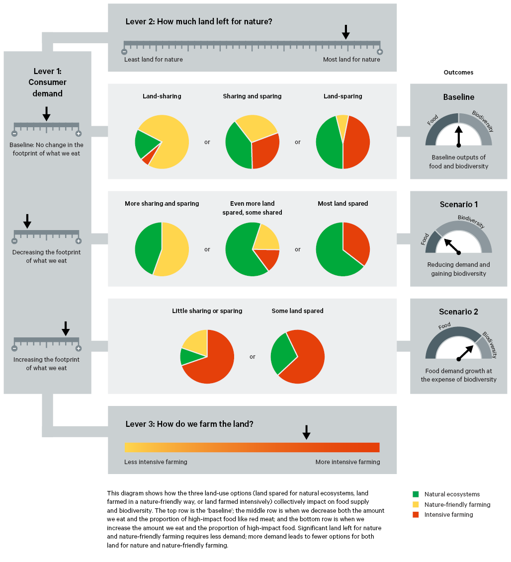Figure 5. Schematic illustrating indicative land-use choices under three scenarios for food demand