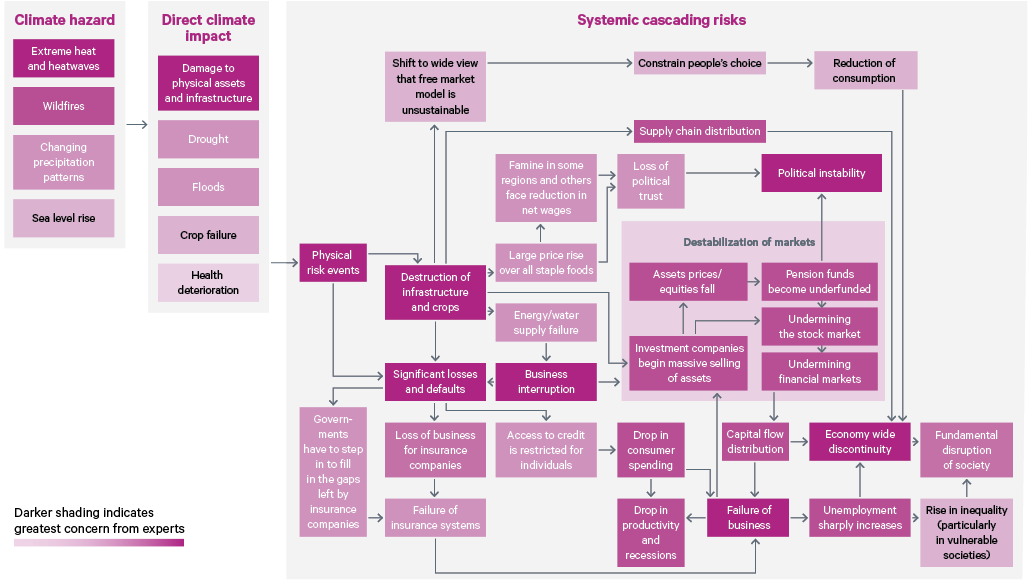 Figure 21. Experts’ assessments of systemic cascading climate risks that are likely to lead to economic and trade disruptions 