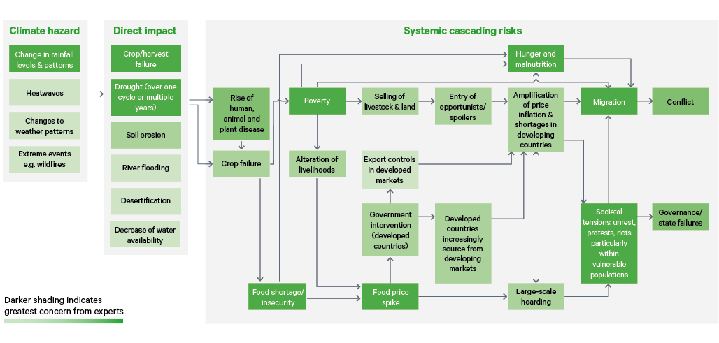 Figure 23. Experts’ assessments of systemic cascading climate risks that are likely to lead to food insecurity 