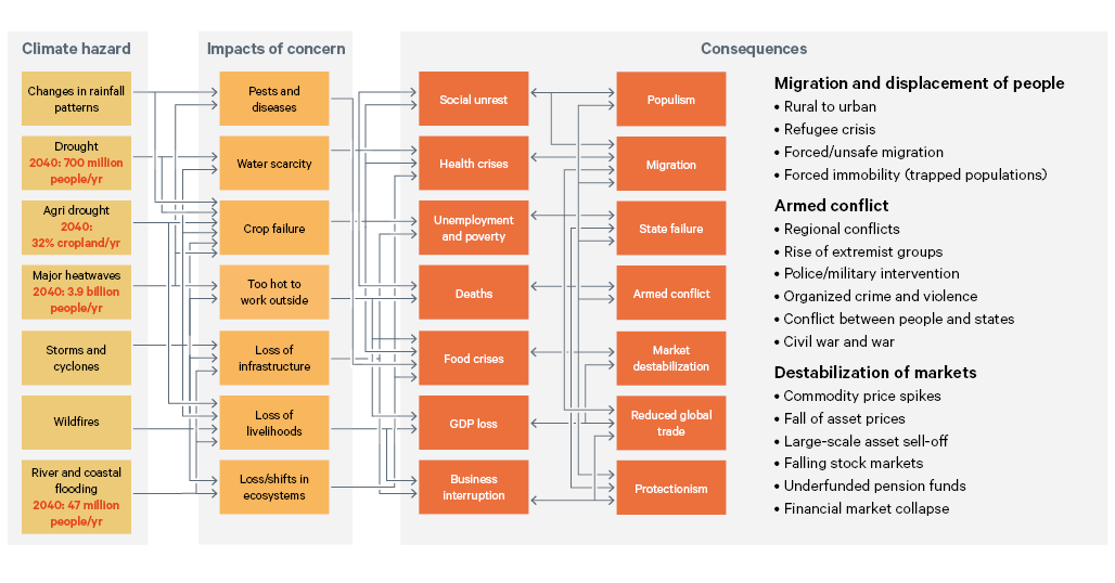 Figure 19. Summary diagram of the major systemic risk dynamics identified by an expert elicitation process