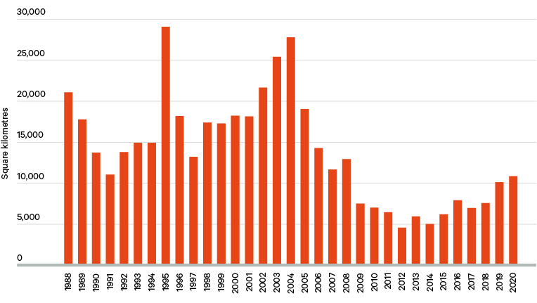 Figure 1. Deforestation in the Legal Amazon