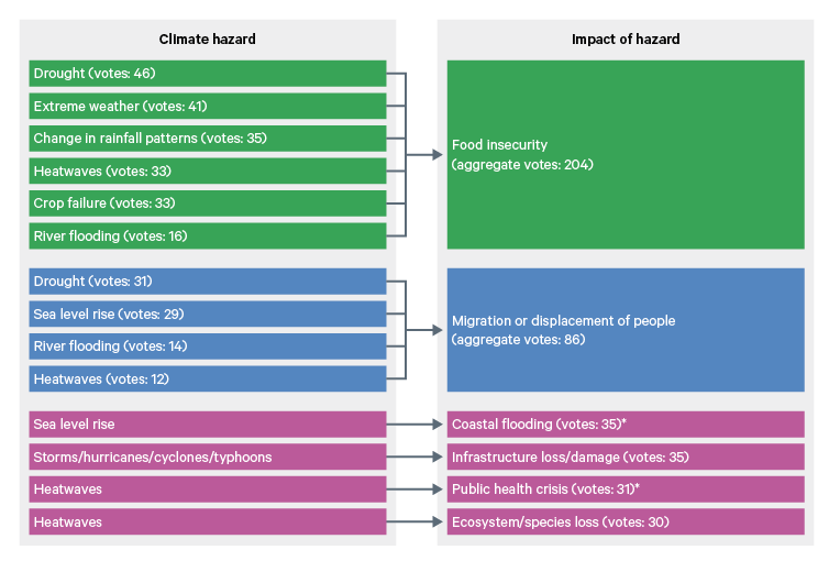 Figure 4. Global hazard-impact pathways shortlist, showing climate hazards and their impacts