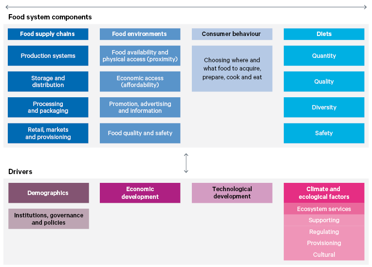 Figure 1. Food systems: an overall framework