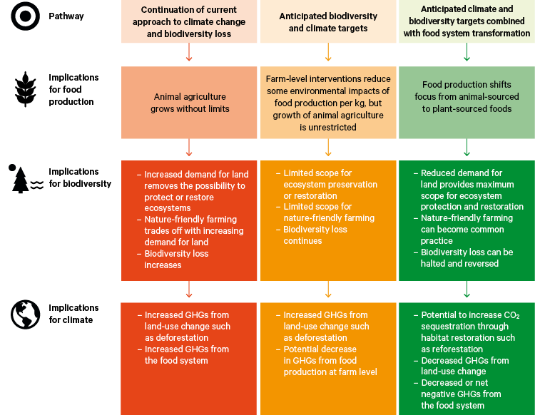 Figure 4. Relative implications of three alternative global pathways along the climate–biodiversity–food nexus to 2030