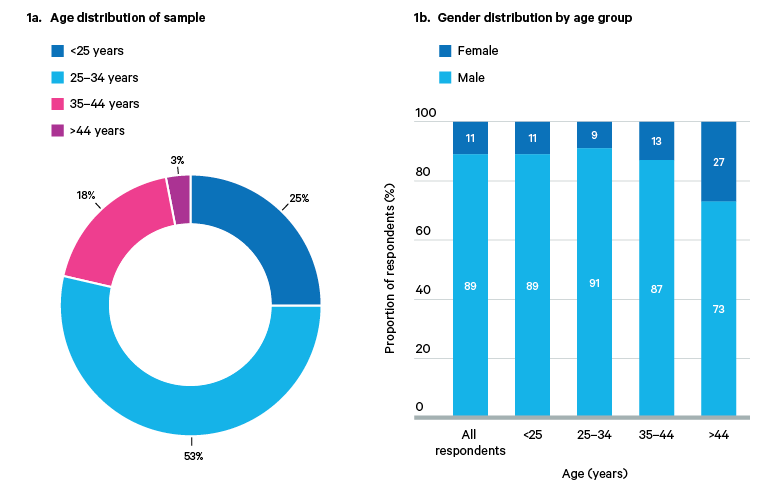 Figure 1. Sadr City survey sample: demographic overview