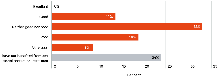 Figure 6. Public satisfaction with the level of social protection services
