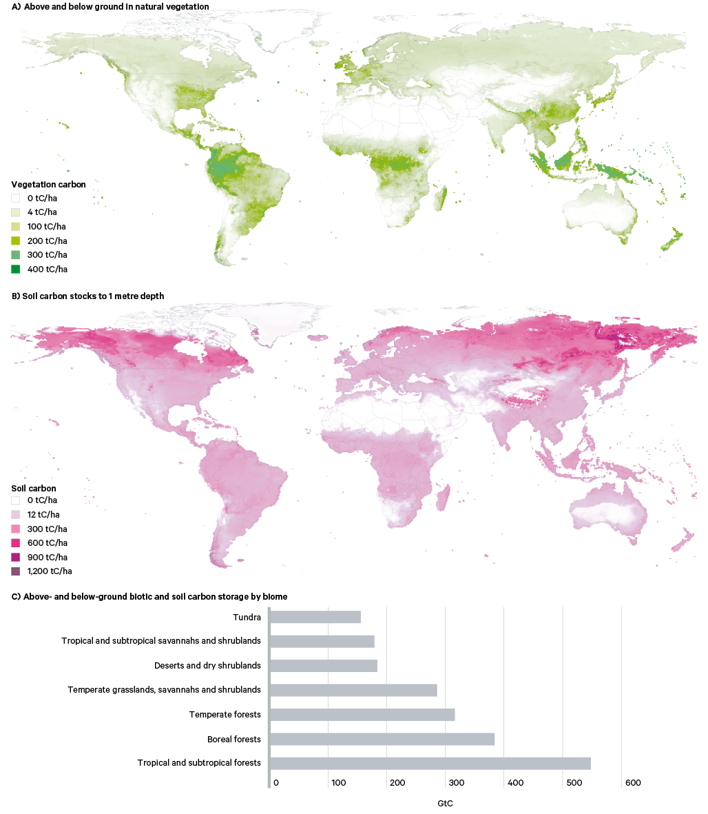 Figure 18. Global distribution of organic carbon stocks, 2001–10