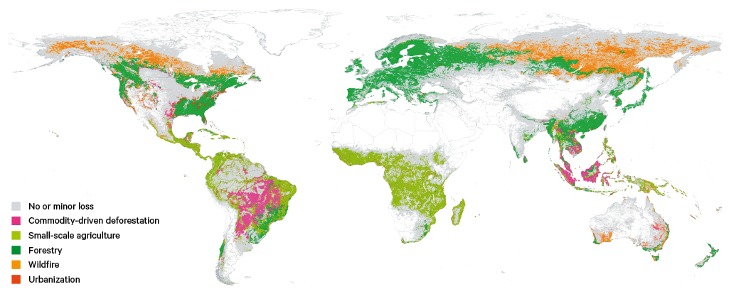 Figure 8. Primary drivers of forest cover loss, 2001–15