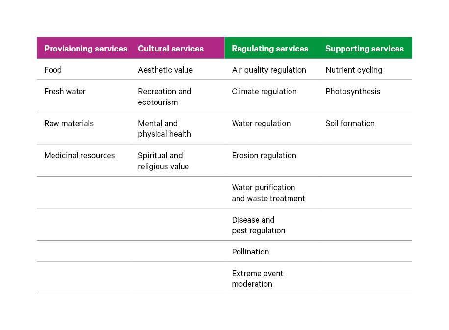 Table 1. The four forms of ecosystem services threatened by unsustainable land use and land-use change