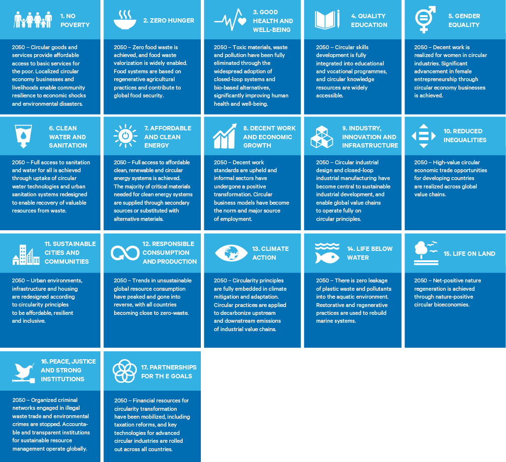 Figure 2. Suggested circular economy SDG targets for 2050 in a hypothetical extended and expanded SDG framework
