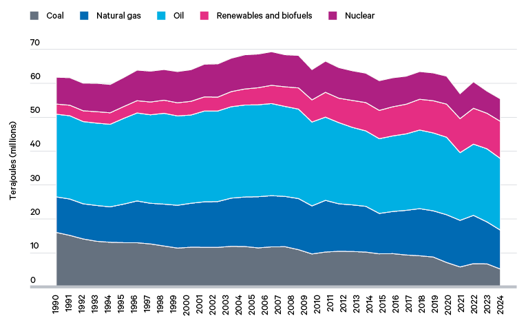 Figure 1. EU energy consumption, 1990–2024